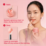 NIDA Overnight Lip Mask